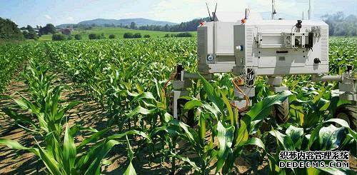 【一百空包网】未来农业：机器人与你一起“锄禾”